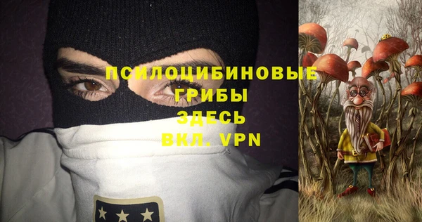 мдпв Армянск