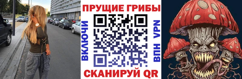 Псилоцибиновые грибы MAGIC MUSHROOMS  купить  сайты  Бакал 